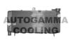 HONDA 19010MBZK01 Radiator, engine cooling